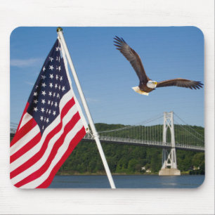 Bald Eagle (amerikanischer Stolz) Mousepad