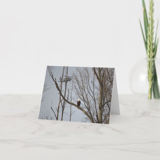 Bald Eagle and Blackhawk Notecard - Blank Inside Dankeskarte (Vorderseite)