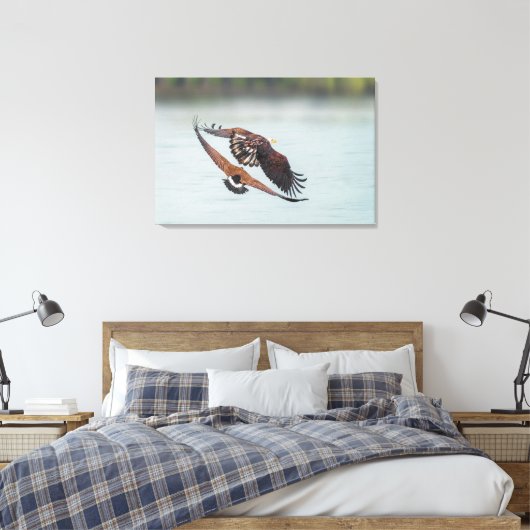Bald Eagle and Goose Nature Wildlife Fine Art Leinwanddruck (Insitu (Schlafzimmer))