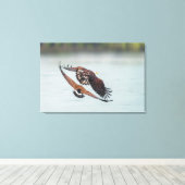 Bald Eagle and Goose Nature Wildlife Fine Art Leinwanddruck (Insitu (Holzboden))