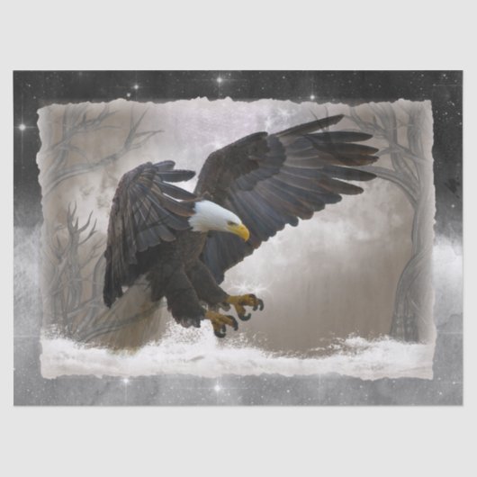 Bald Eagle Artwork Decoupage Seidenpapier (Vorderseite)