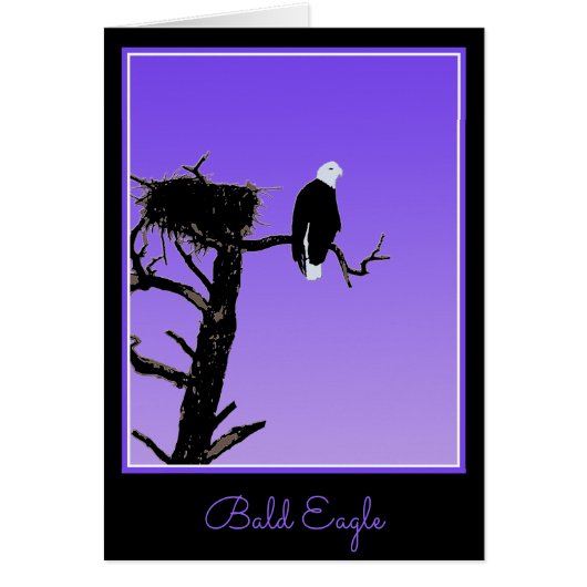 Bald Eagle at Sunset - Ursprüngliche Naturkunde (Vorne)