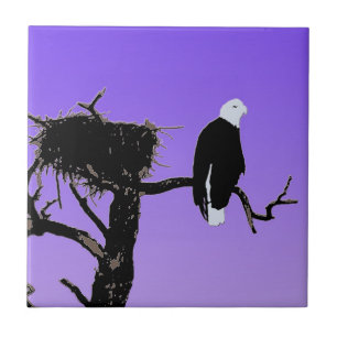 Bald Eagle at Sunset - Ursprüngliche Naturkunde Fliese