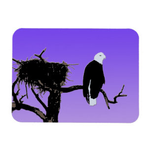 Bald Eagle at Sunset - Ursprüngliche Naturkunde Magnet