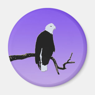 Bald Eagle at Sunset - Ursprüngliche Naturkunde Magnet