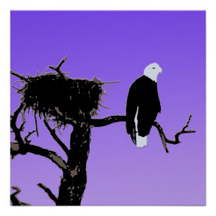 Bald Eagle at Sunset - Ursprüngliche Naturkunde Poster