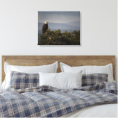 Bald Eagle auf Baumkronen, überwölbte Leinwand (Insitu (Schlafzimmer))