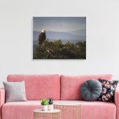 Bald Eagle auf Baumkronen, überwölbte Leinwand (Insitu (Wohnzimmer))