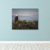 Bald Eagle auf Baumkronen, überwölbte Leinwand (Insitu (Holzboden))