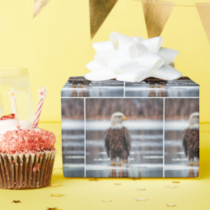 Bald Eagle auf dem Eissee Geschenkpapier