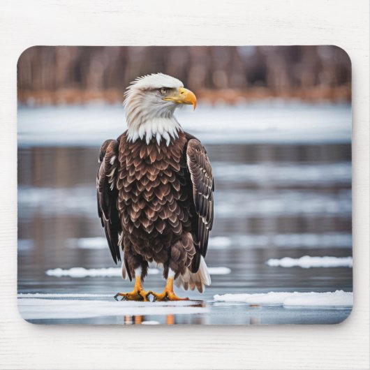 Bald Eagle auf dem Eissee Mousepad (Vorne)