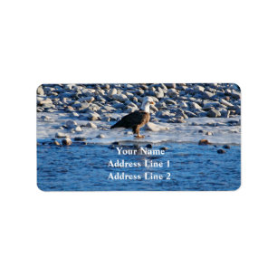 Bald Eagle auf dem Yellowstone-Adressetikett Adressaufkleber