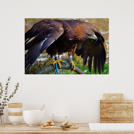 Bald Eagle auf einem Seilposter Poster (Küche)