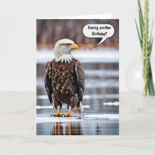 Bald Eagle auf Eisvogel Spaß Karte