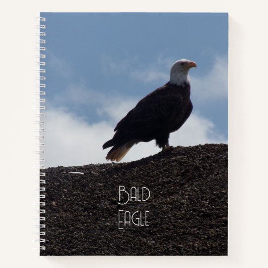 Bald Eagle auf High Ground Spiral Notebook Notizblock (Vorderseite)