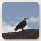 Bald Eagle auf hohem Boden Getränkeuntersetzer (Vorderseite)
