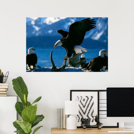 Bald Eagle auf Logplakat Poster (Heimbüro)