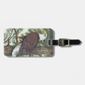 Bald Eagle auf Zweig Gepäckanhänger (Vorderseite horizontal)