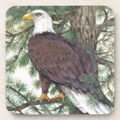 Bald Eagle auf Zweig Getränkeuntersetzer (Vorderseite)