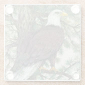Bald Eagle auf Zweig Glasuntersetzer (Rückseite)