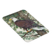 Bald Eagle auf Zweig Magnet (Rechte Seite)