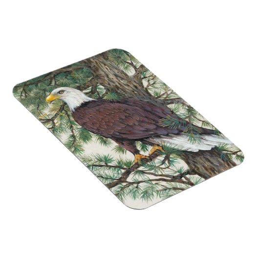 Bald Eagle auf Zweig Magnet (Rechte Seite)