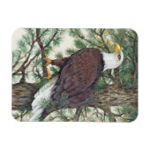 Bald Eagle auf Zweig Magnet (Horizontal)