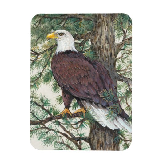 Bald Eagle auf Zweig Magnet (Vertikal)