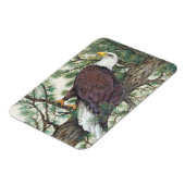 Bald Eagle auf Zweig Magnet (Linke Seite)