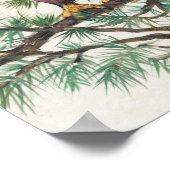 Bald Eagle auf Zweig Poster (Ecke)