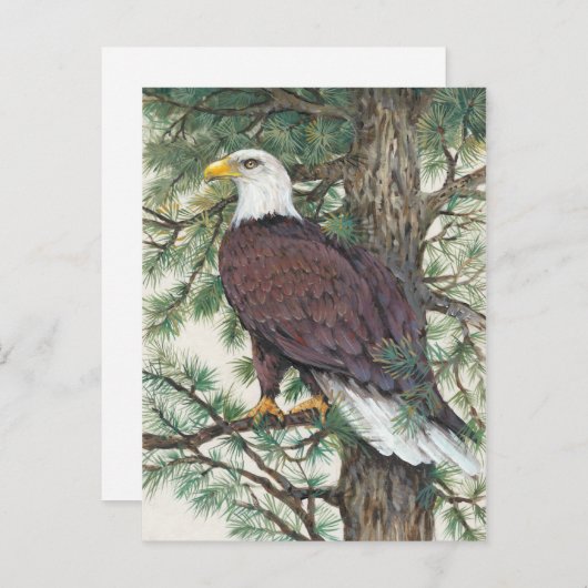 Bald Eagle auf Zweig Postkarte (Vorne/Hinten)
