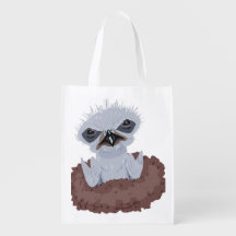 Bald Eagle Baby
