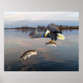 Bald Eagle Bass Fishing Poster (Vorne)