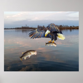 Bald Eagle Bass Fishing Poster