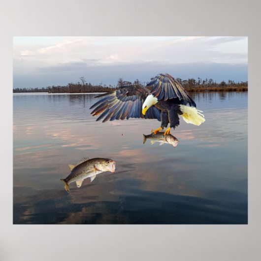 Bald Eagle Bass Fishing Poster (Vorne)