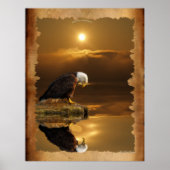 Bald Eagle bei Sunset Gratitude Series Poster (Vorne)