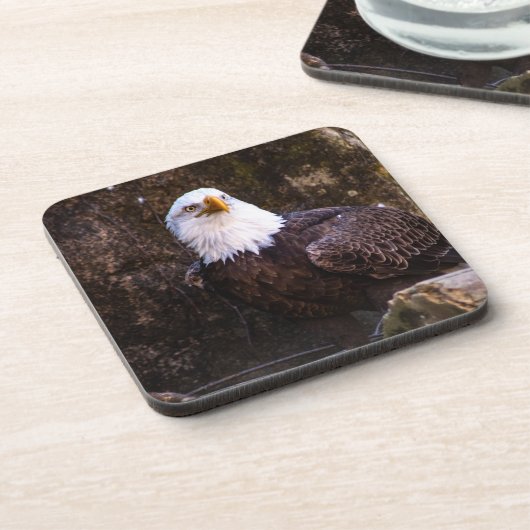 Bald Eagle Beverage Coaster Getränkeuntersetzer (Linke Seite)