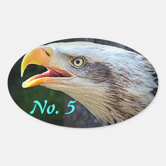 Bald Eagle Bin Stickers (Vorderseite)