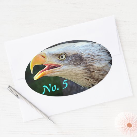 Bald Eagle Bin Stickers (Umschlag)