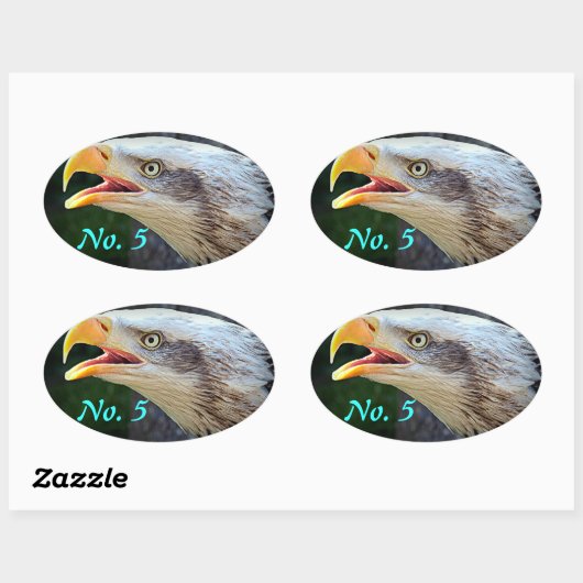 Bald Eagle Bin Stickers (Blatt)