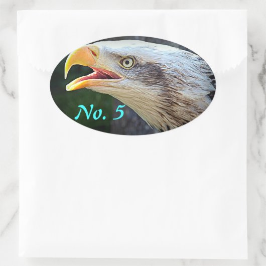 Bald Eagle Bin Stickers (Tasche)
