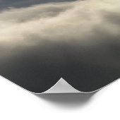 Bald Eagle Bird Poster (Ecke)