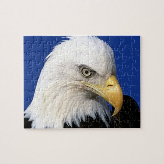 Bald Eagle Blue Sky Family Ruhe Spaß Puzzle (Horizontal)