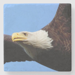 Bald Eagle Blue Sky Steinuntersetzer