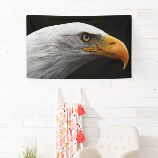 Bald Eagle bncna Banner (Insitu)
