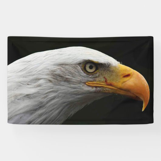 Bald Eagle bncna Banner (Horizontal)