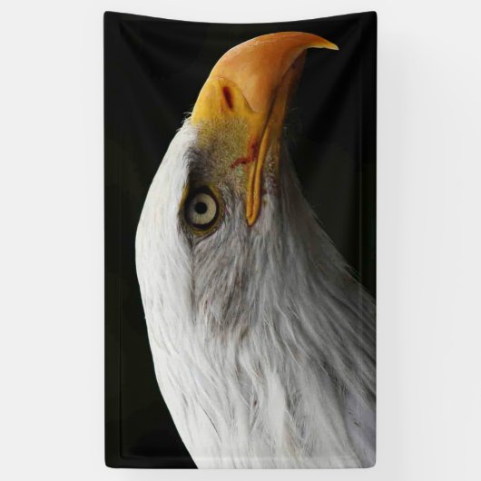 Bald Eagle bnrcnm Banner (Vertikal)