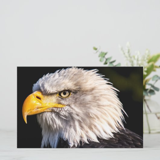 Bald Eagle Briefpapier (Stehend Vorderseite)