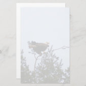 Bald Eagle Briefpapier (Vorne/Hinten)