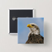 Bald Eagle Button (Vorne & Hinten)